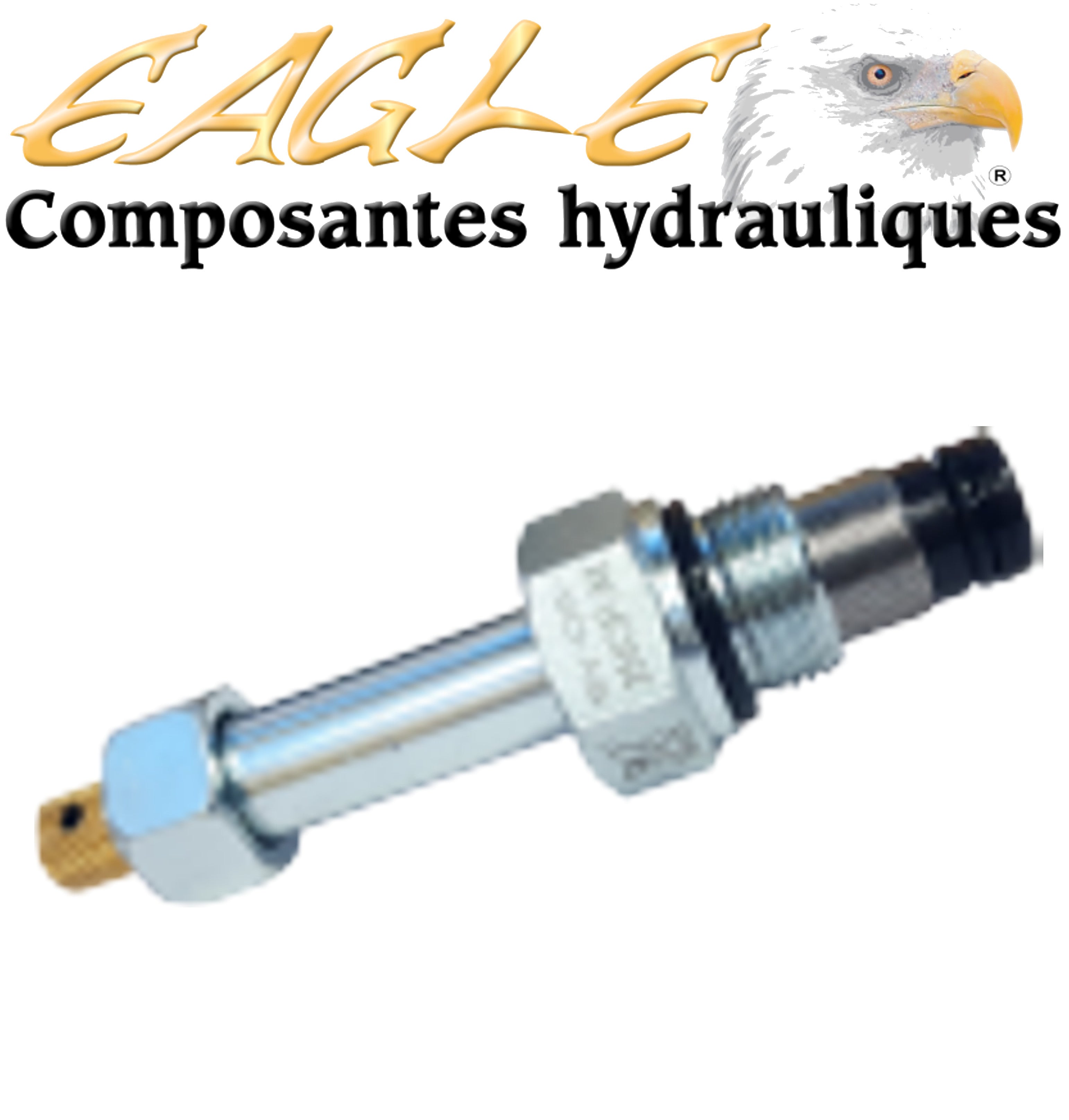 VALVE POUR POMPE HYDRAUL IQUE